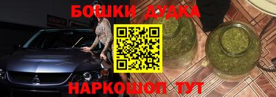 индика Лесосибирск