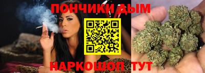 индика Лесосибирск